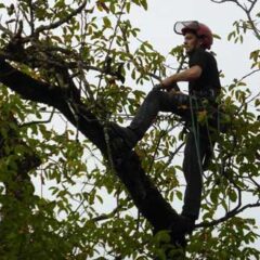 c-garten-unterhalt c-garten-unterhalt